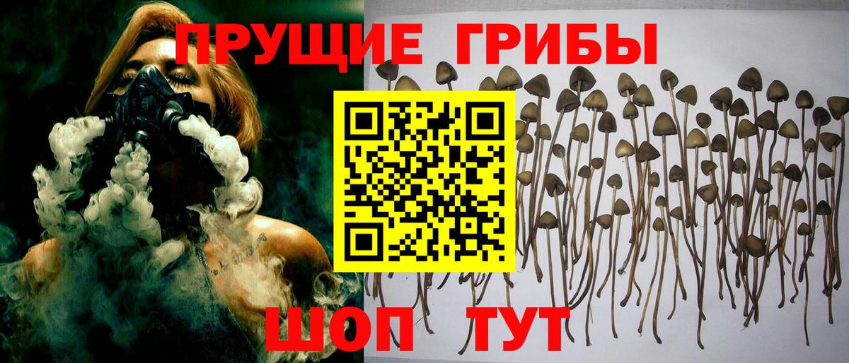 Галлюциногенные грибы MAGIC MUSHROOMS  Галлюциногенные грибы Cubensis  Вход с VPN  Тосно 