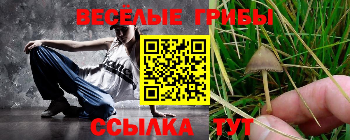 Галлюциногенные грибы GOLDEN TEACHER Тосно
